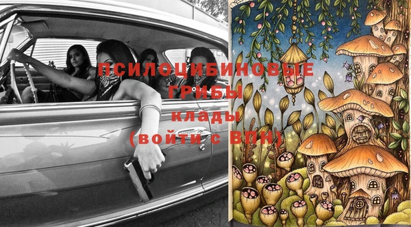 ешки Галич