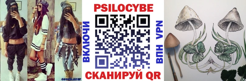 Галлюциногенные грибы Cubensis Трубчевск